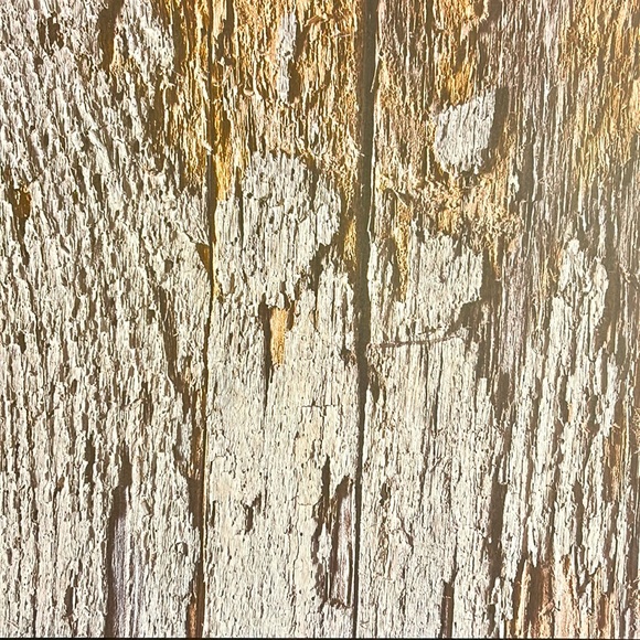 Scrapbook Paper! Wood Backgrounds & Textures! 12x12” - Picture 4 of 17